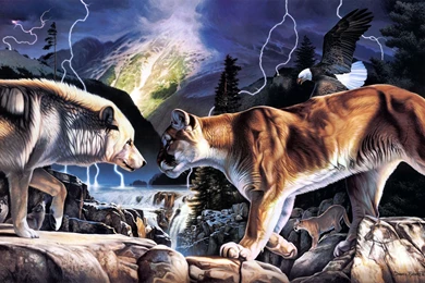 Paintings Of Wolves And Lions Duel