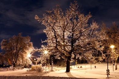 Amazing Set Of Winter Night HD Wallpapers Photo 7 Of 25