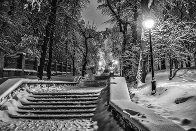 WINTER NIGHT WALLPAPER WSP027