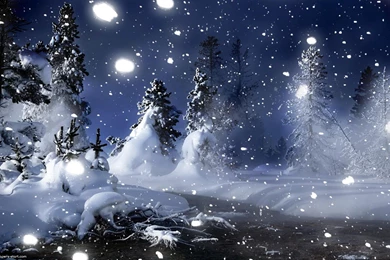 Winter Night Wallpapers 2560x1600px