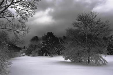 Winter Night Wallpapers 2015 Grasscloth Wallpapers