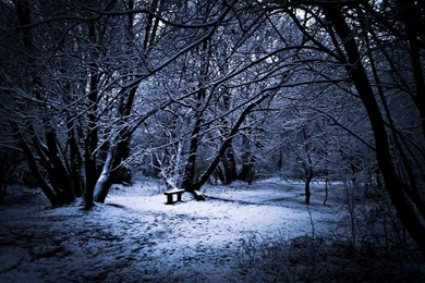 Winter Night Desktop Wallpapers ~ Toptenpack.com