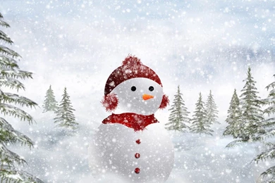 Snowman Desktop Wallpapers Wallpapedia