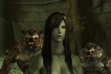 92 Dragon Age: Origins HD Wallpapers