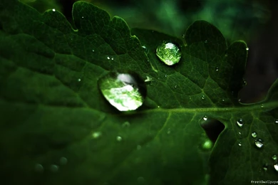 Hd Pictures 1920X1080 All Wallpapers New