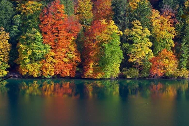 1080 Wallpapers Hd 1425932