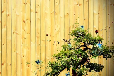 Free Wallpapers Free Art Wallpapers 3D Desktop Wallpapers 2 ...