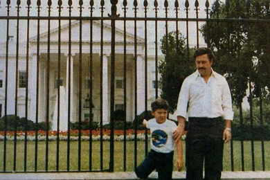 Similar Image Search For Post: Pablo Escobar As A Washington DC ...