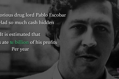 Pablo Escobar The King Of Cocaine Video Dailymotion