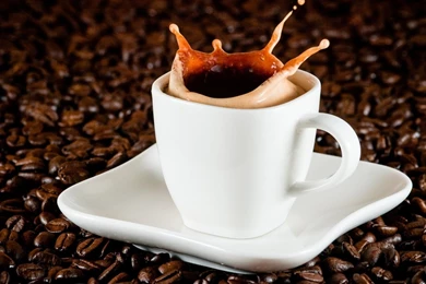 HD Quality Coffee Cup Full HD Wallpapers SiWallpapers 23989