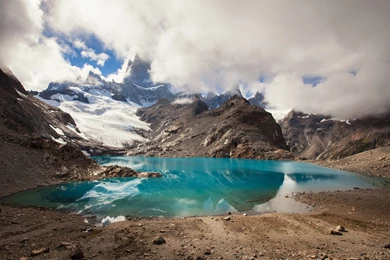 Hd Nature Images, Organic, Plants, Windows Nature Wallpapers ...