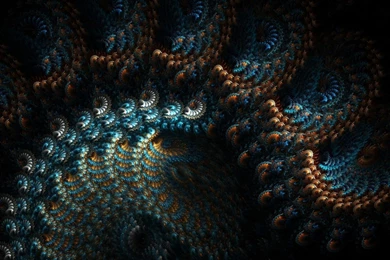 Coral Reef HD Wallpapers Coral Reef Photos, New Wallpapers