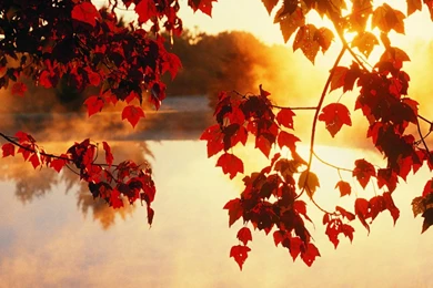 Nice Fall Pictures Wallpapers HD Wide