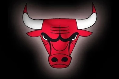 Top Bulls 23 Logo Images For Pinterest