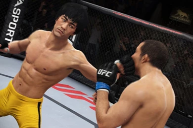 Bruce Lee In UFC Game Desktop Wallpapers