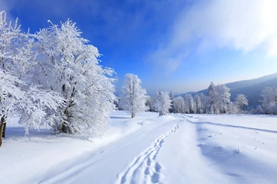 Winter Wallpapers Cool