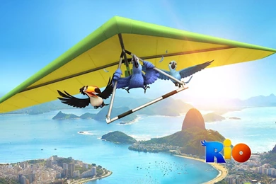 Animation Donald Duck Cartoon Wallpapers HD Des