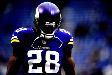 Adrian Peterson Minnesota Vikings American Hd Wallpapers