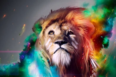 Amazing Lion Wallpapers