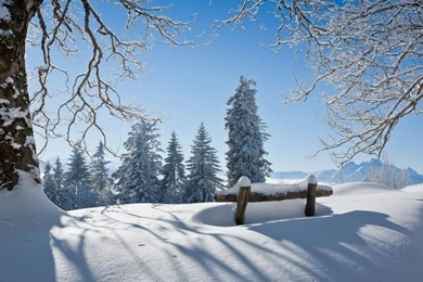 1024x768 Winter Scenery Wallpapers