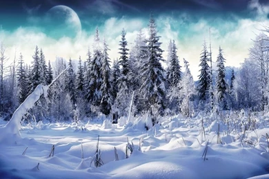 1024x768 Winter Wonderland 2 Desktop PC And Mac Wallpapers