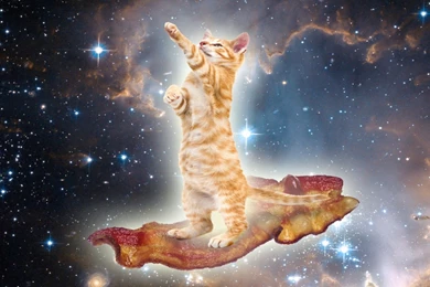 Wallpapers Astronaut Cat With Laser Pics About Space