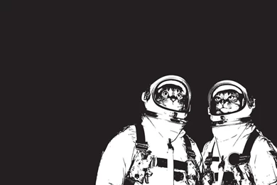 Space Cats Cats Wallpapers (29815101) Fanpop