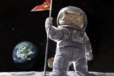 Ami Thompson Original Cat Space Planets Humor Wallpapers ...