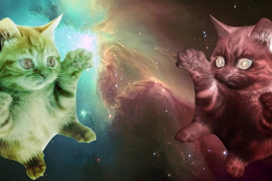 Wallpapers Astronaut Cat With Laser (page 2) Pics About Space