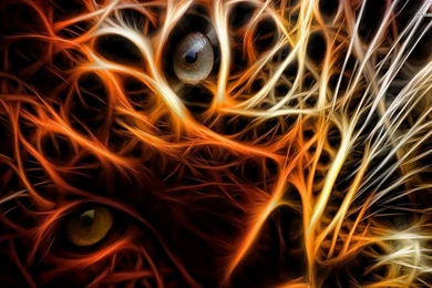 Neon Tiger Wallpapers Digital Art Wallpapers