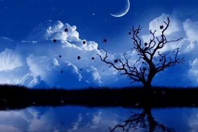 Wallpapers Desktop Backgrounds Free Download HD Wallpapers And ...