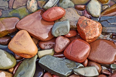 Mashababko: Hd Wallpapers 1080p 1920x1080p