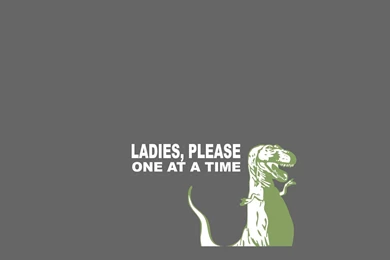 Dino Wallpapers Dinasours Wallpapers