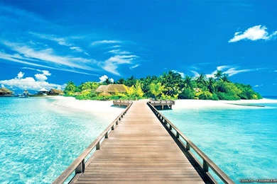 Beautiful Summer Wallpapers Crazy Frankenstein