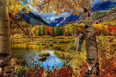 1280x1024 Autumn Wallpapers HD, Desktop Backgrounds 1280x1024 ...