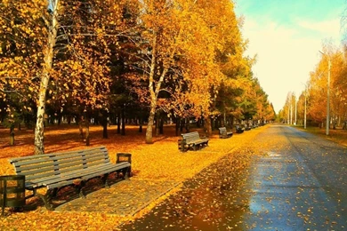 1280x1024 Sunny Autumn Day Desktop PC And Mac Wallpapers