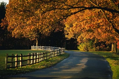 Autumn Wallpapers 201627