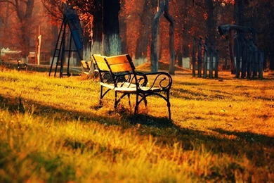 Golden Autumn Park Nature Landscape, Lawn Bench Sun Wallpapers ...