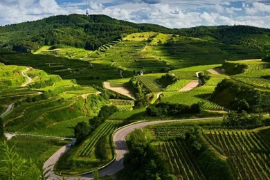 Download Images Of Nature Wallpapers HD Wide