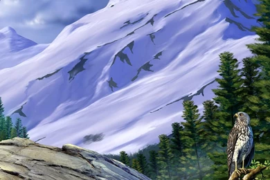 HD Wallpapers For Laptop