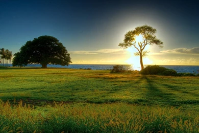 Full Hd Nature Wallpapers Wallpaper.