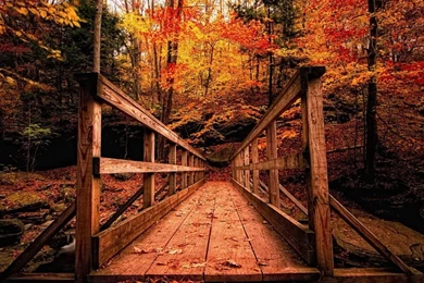 1366x768 Autumn Landscapes Desktop PC And Mac Wallpapers