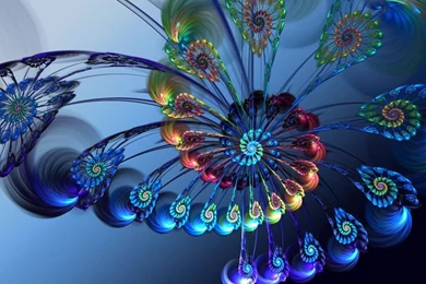 3D Flowers Wallpapers All Wallpapers New