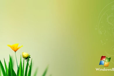 Windows 8 HD Wallpapers 1920x1080 Wallpapers, 1920x1080 Wallpapers ...