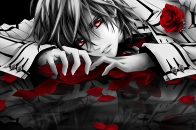 Death Note Anime Wallpapers HD (26 Photos)