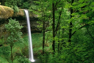 Nature Desktop Wallpapers Full Size Wallpaper.