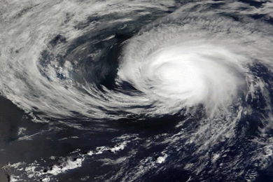 Morning Wood – 8/21/15 – 1st And Monday