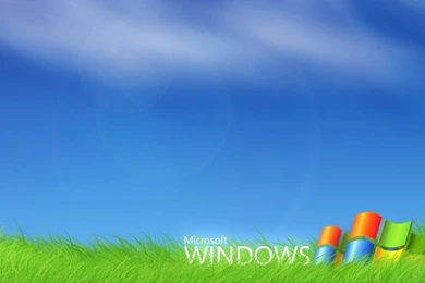 Windows XP, Computers And Programs, Drawed 1280x1024 Wallpapers ...