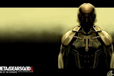 Raiden Mgs Rising Wallpapers 7250