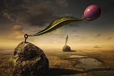 Brown 3d Hd Wallpapers Brown 3d Wallpapers